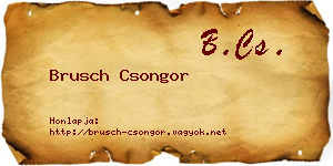 Brusch Csongor névjegykártya